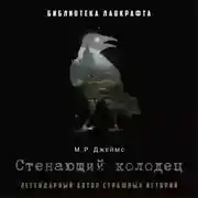 Постер книги Стенающий колодец