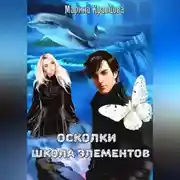 Постер книги Осколки. Школа элементов