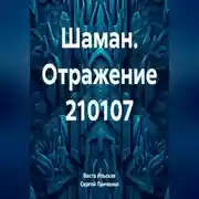 Постер книги Шаман. Отражение 210107
