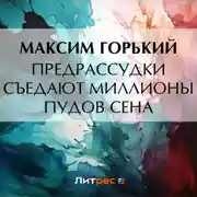 Постер книги Предрассудки съедают миллионы пудов сена