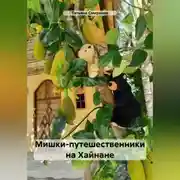 Постер книги Мишки-путешественники на Хайнане