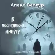Постер книги В последнюю минуту