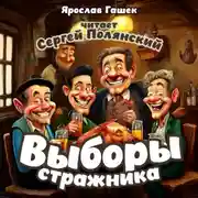 Постер книги Выборы стражника