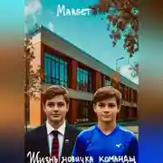 Постер книги Жизнь новичка команды