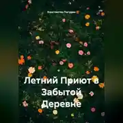 Постер книги Летний Приют в Забытой Деревне