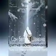 Постер книги Сон белого Шамана