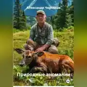 Постер книги Природные аномалии