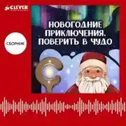 Постер книги Новогодние приключения. Поверить в чудо