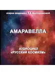 Людмила Шапошникова - Амаравелла. Очерк академика Л.В.Шапошниковой. Аудиоцикл «Русский космизм»