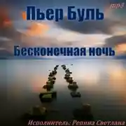 Постер книги Бесконечная ночь
