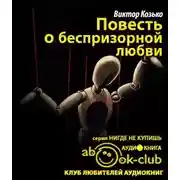 Постер книги Повесть о беспризорной любви