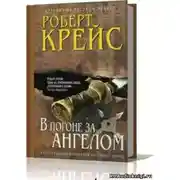 Постер книги В погоне за ангелом