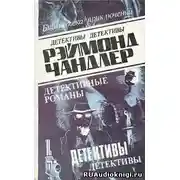 Постер книги Дождливым вечером