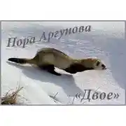 Постер книги Двое