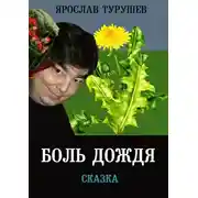 Постер книги Боль дождя