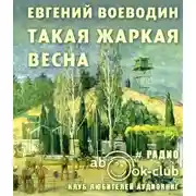 Постер книги Такая жаркая весна