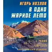 Постер книги В одно жаркое лето