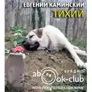 Постер книги Тихий