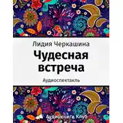 Постер книги Чудесная встреча