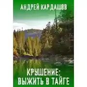 Постер книги Крушение: Выжить в Тайге