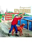 Крапивин Владислав - Стеклянные тайны Симки Зуйка