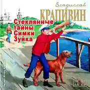 Постер книги Стеклянные тайны Симки Зуйка