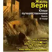 Постер книги Юные путешественники