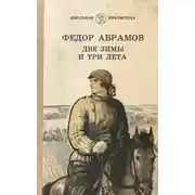 Постер книги Две зимы и три лета