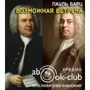 Постер книги Возможная встреча