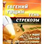 Постер книги Тень стрекозы