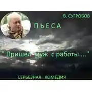 Постер книги Пришел муж с работы...