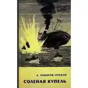 Постер книги Солёная купель