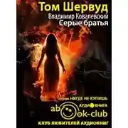 Постер книги Серые братья