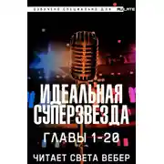 Постер книги Идеальная Суперзвезда