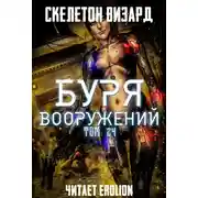 Постер книги Буря Вооружений. Том 24