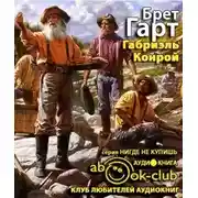 Постер книги Габриэль Конрой