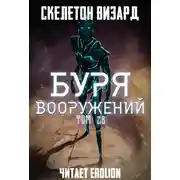 Постер книги Буря Вооружений. Том 28