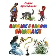 Постер книги Сыщик в одном башмаке