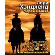 Постер книги Чарли и Ангел