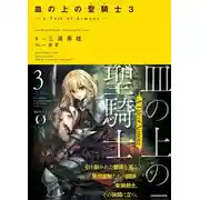 Постер книги Паладин на блюде -История брони- 3