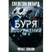 Постер книги Буря Вооружений. Том 12