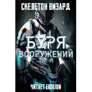 Постер книги Буря Вооружений. Том 14