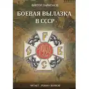 Постер книги Боевая вылазка в СССР