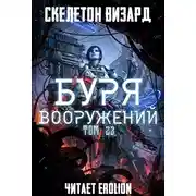 Постер книги Буря Вооружений. Том 23