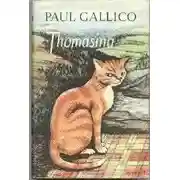 Постер книги Томасина