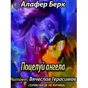 Постер книги Поцелуй ангела