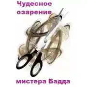 Постер книги Чудесное озарение мистера Бадда