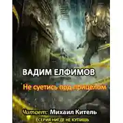 Постер книги Не суетись под прицелом