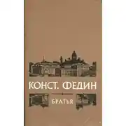 Постер книги Братья