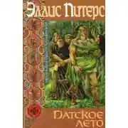 Постер книги Датское лето